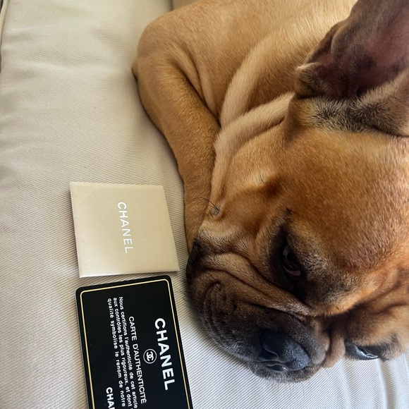 💯 Authentic Chanel Off White Cream XL Le Boy - Picture 14 of 14